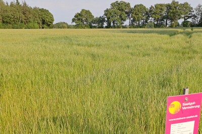 Gr&uuml;ne Wiese mit einem rosa Schild im Vordergrund, B&auml;ume am Horizont unter blauem Himmel.