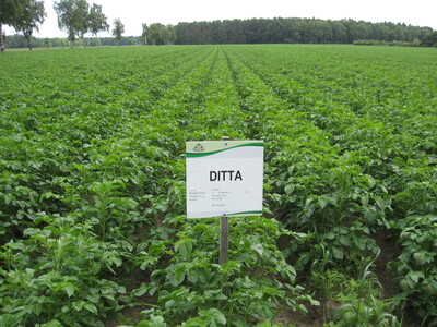 &Ouml;kologische Vermehrungen unterliegen denselben Anforderungen wie konventionelle Vermehrungen