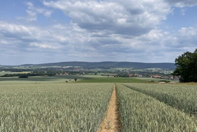 Getreide Vermehrung - © Eric Preuß Getreide Vermehrung