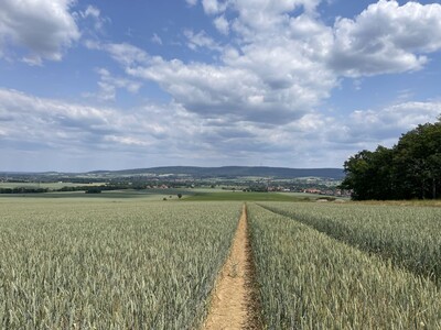 Getreide Vermehrung - © Eric Preuß Getreide Vermehrung